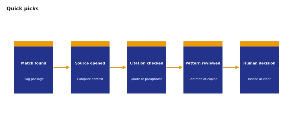 Process with 5 stages: Match found, Source opened, Citation checked, Pattern reviewed, Human decision.