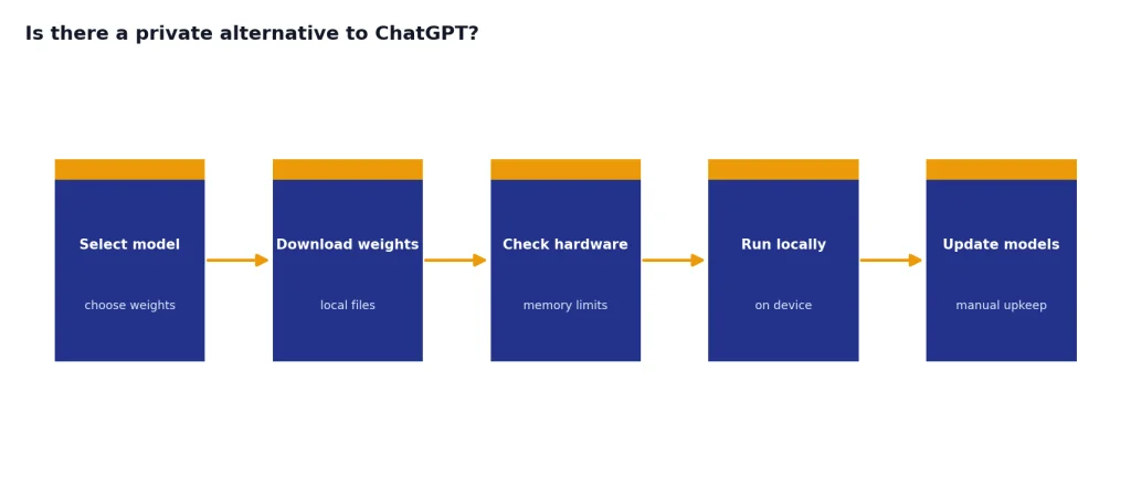 Process flow: Select model, Download weights, Check hardware, Run locally, Update models.