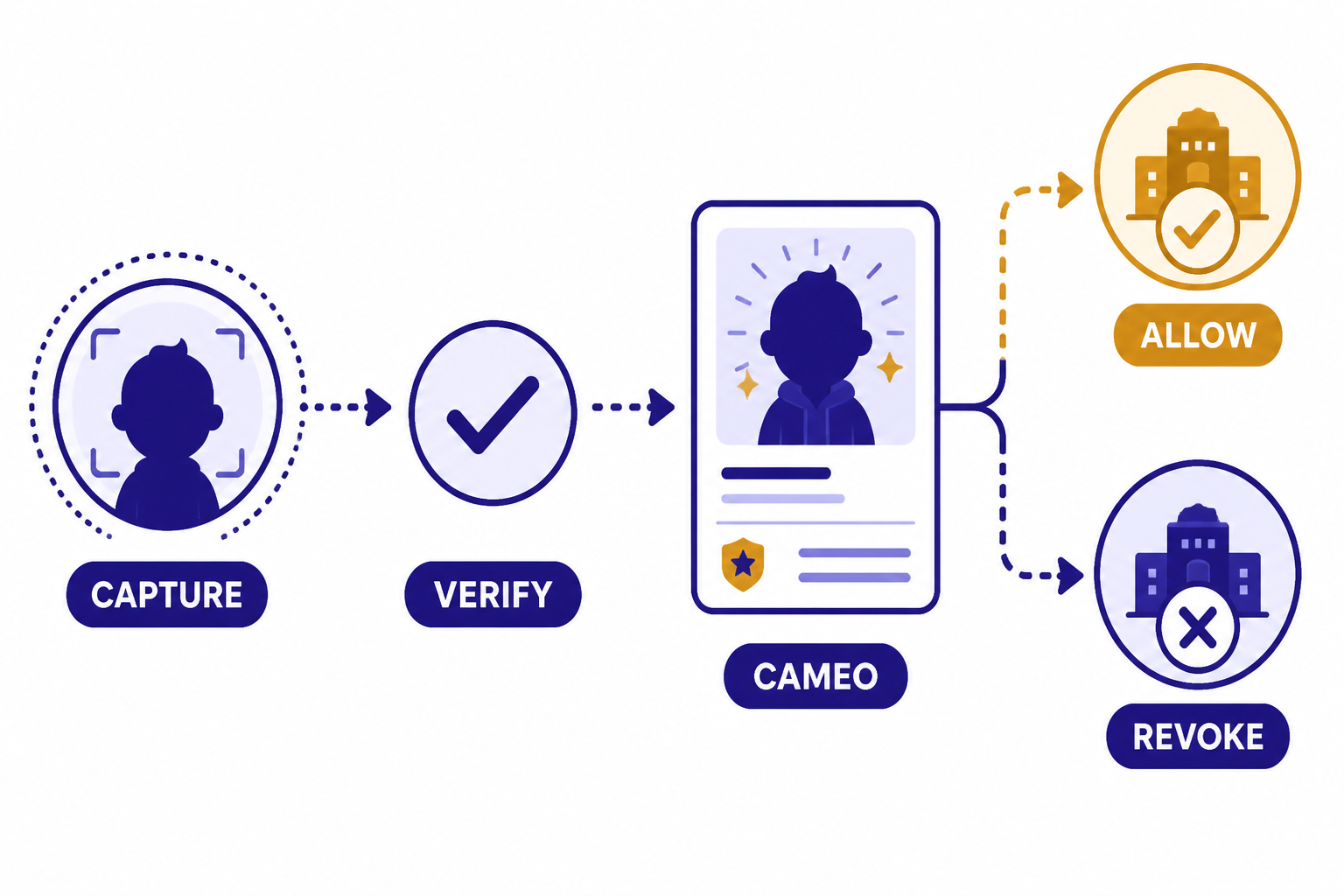 Cameo Permission Flow Cameo permission flow labeled CAPTURE, VERIFY, CAMEO, ALLOW, and REVOKE.